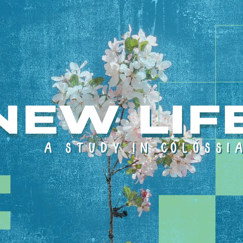 New Life EP3