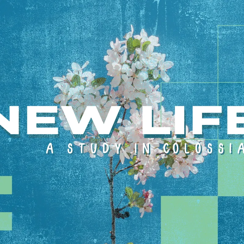 New Life EP1