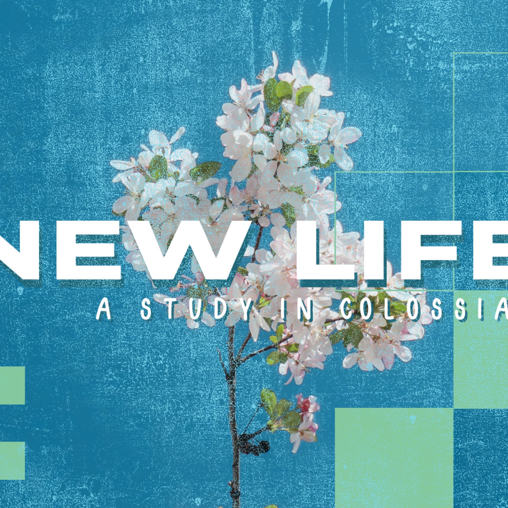 New Life EP1