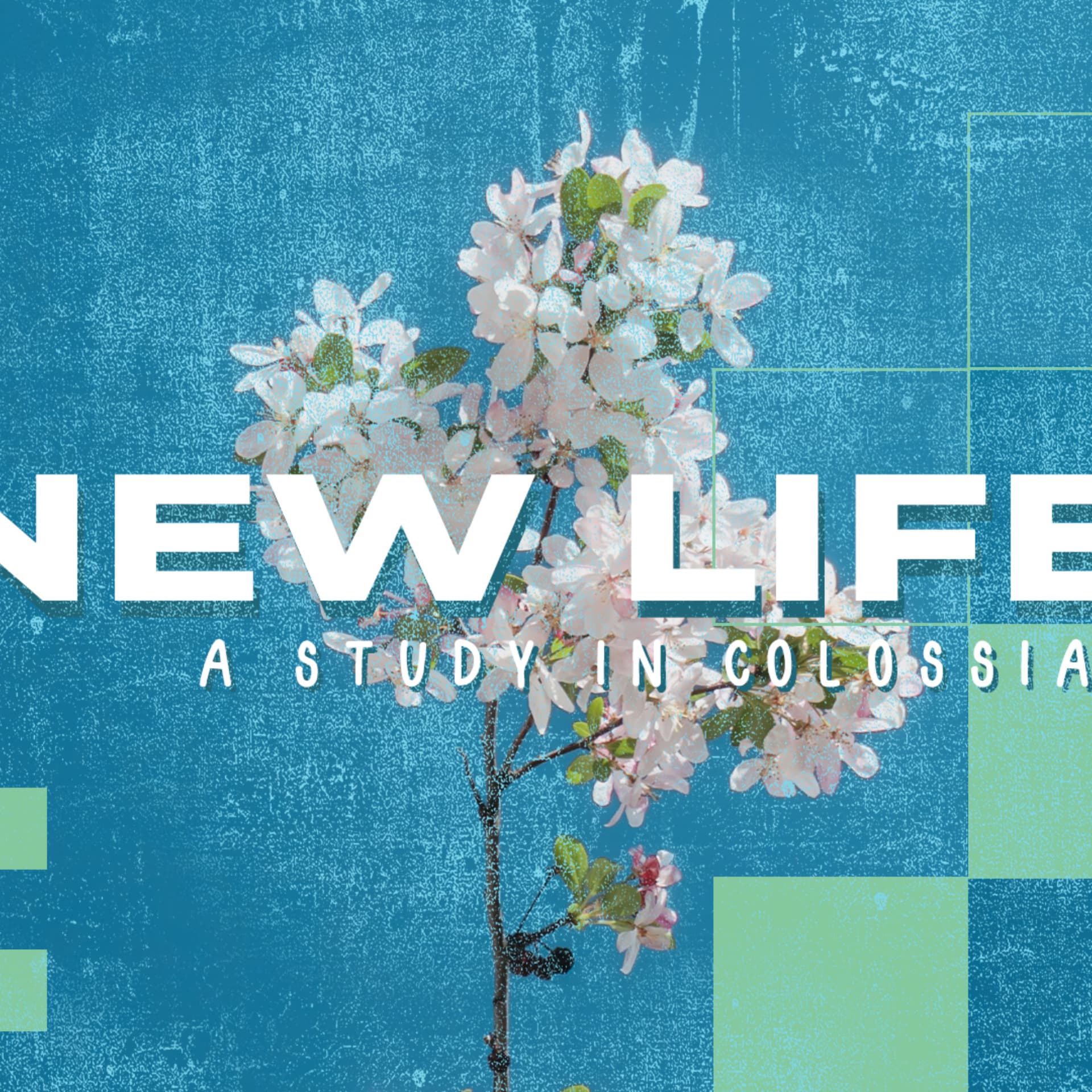 New Life EP3